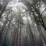 General Membership and Board of Directors’ Meeting, 2/10 at 7 PM