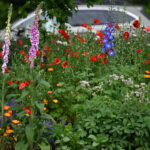 Neighbors + City of Portland Making a Difference in Sylvan Highlands
