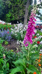Neighbors + City of Portland Making a Difference in Sylvan Highlands