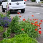 Neighbors + City of Portland Making a Difference in Sylvan Highlands