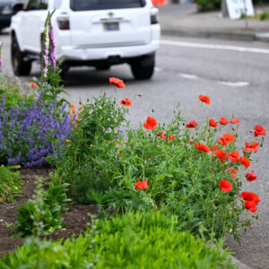 Neighbors + City of Portland Making a Difference in Sylvan Highlands
